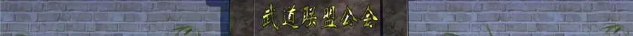 第518话 旁嫡之战44