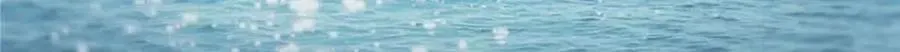 第518话 旁嫡之战41