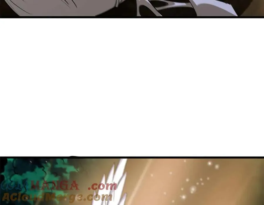296 银翅仙蝶24