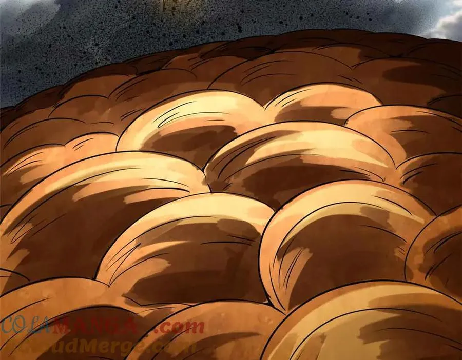 296 银翅仙蝶80