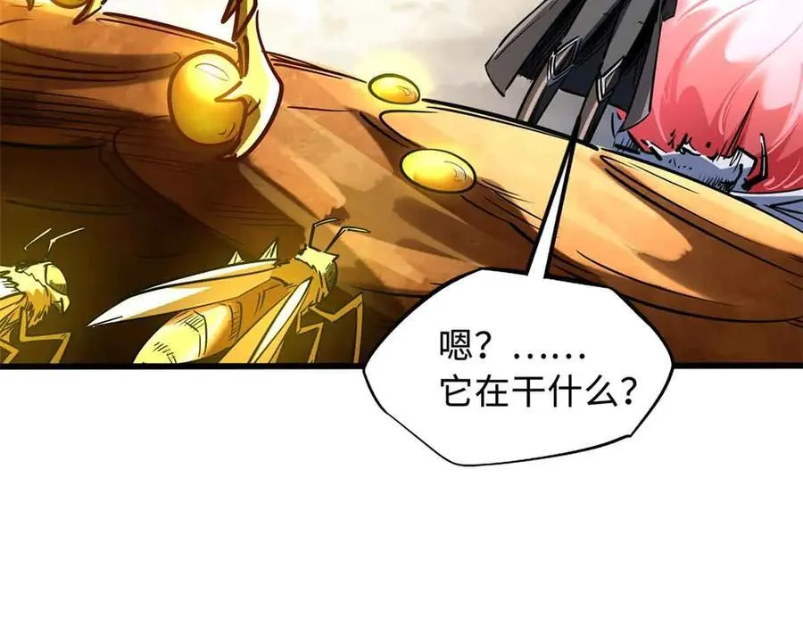 296 银翅仙蝶93