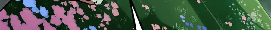 293 奇花66