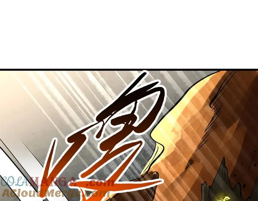 293 奇花76