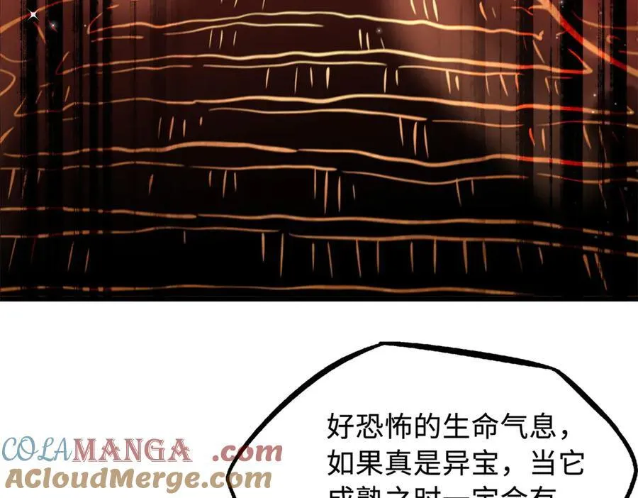 293 奇花96