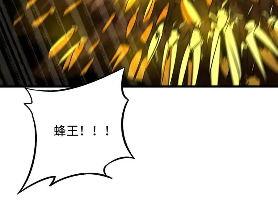 293 奇花117