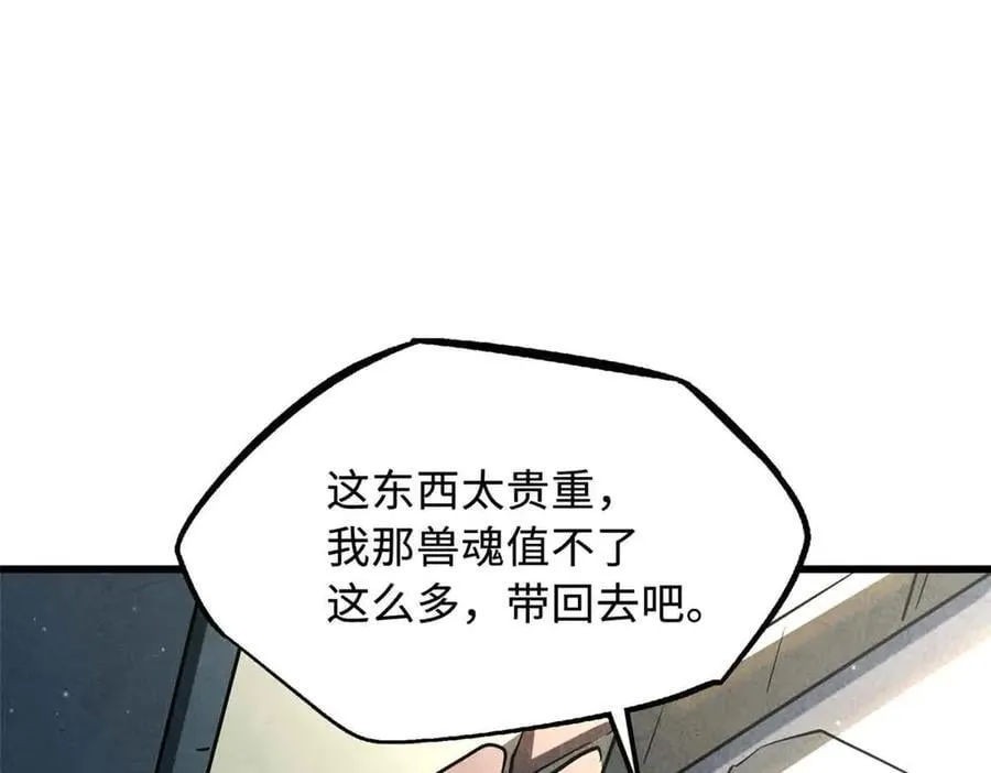 296 银翅仙蝶121
