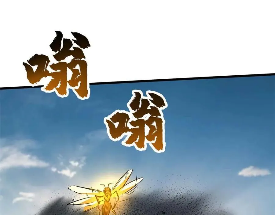 296 银翅仙蝶78