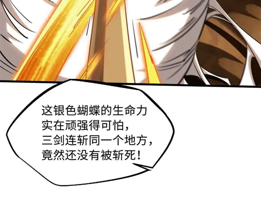 296 银翅仙蝶38