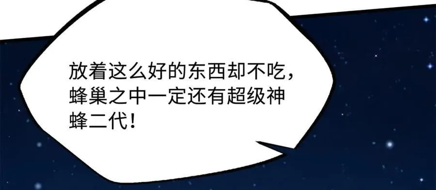 293 奇花146