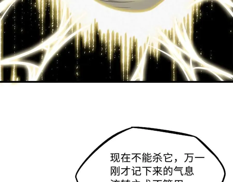 296 银翅仙蝶14
