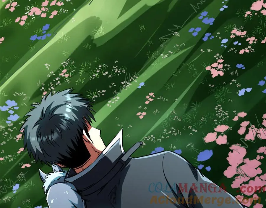 293 奇花52