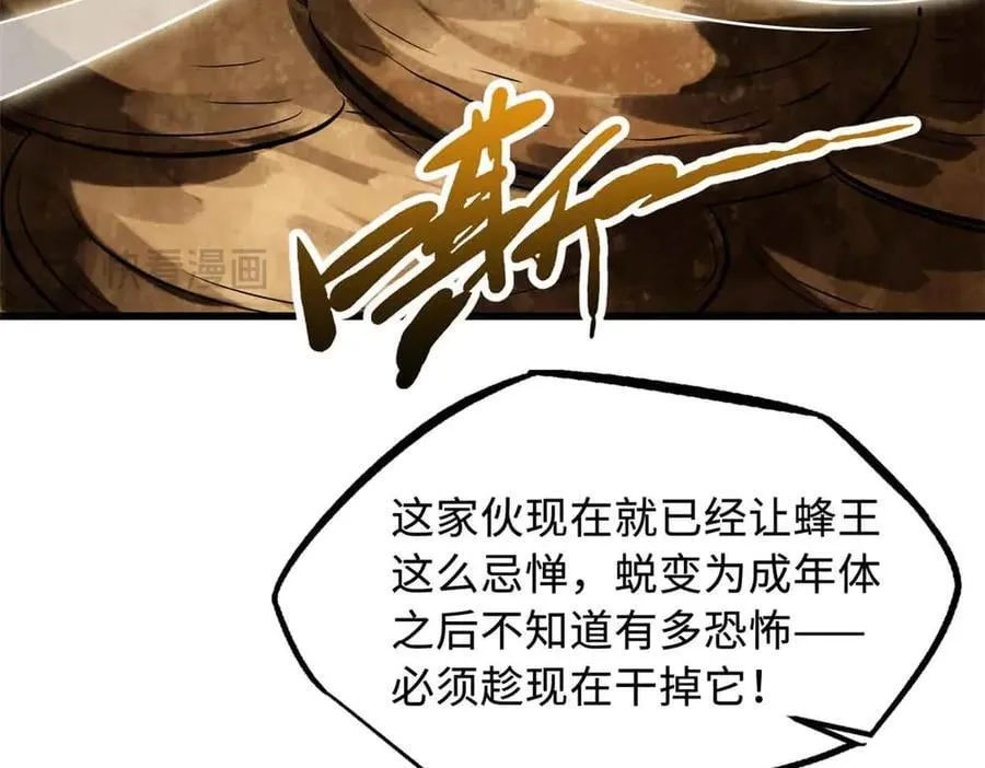 296 银翅仙蝶9