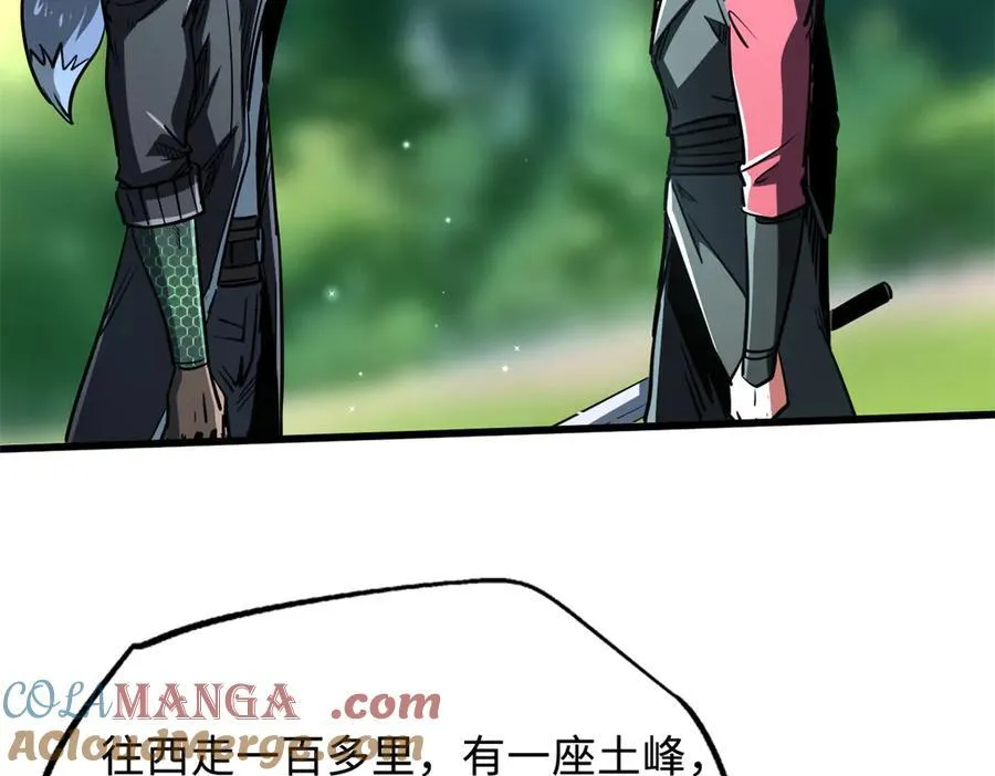 293 奇花56