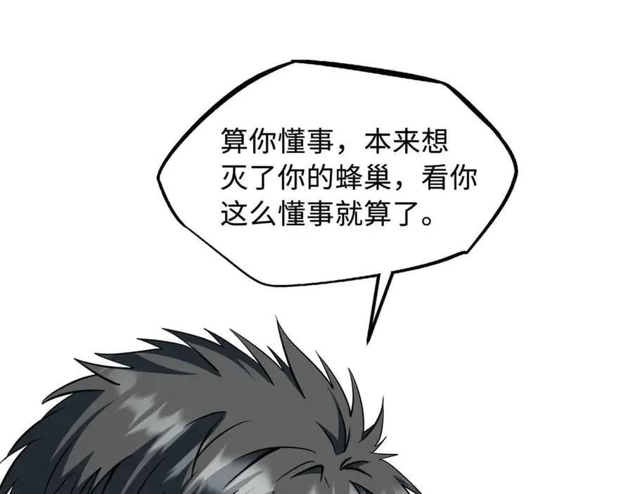 296 银翅仙蝶99