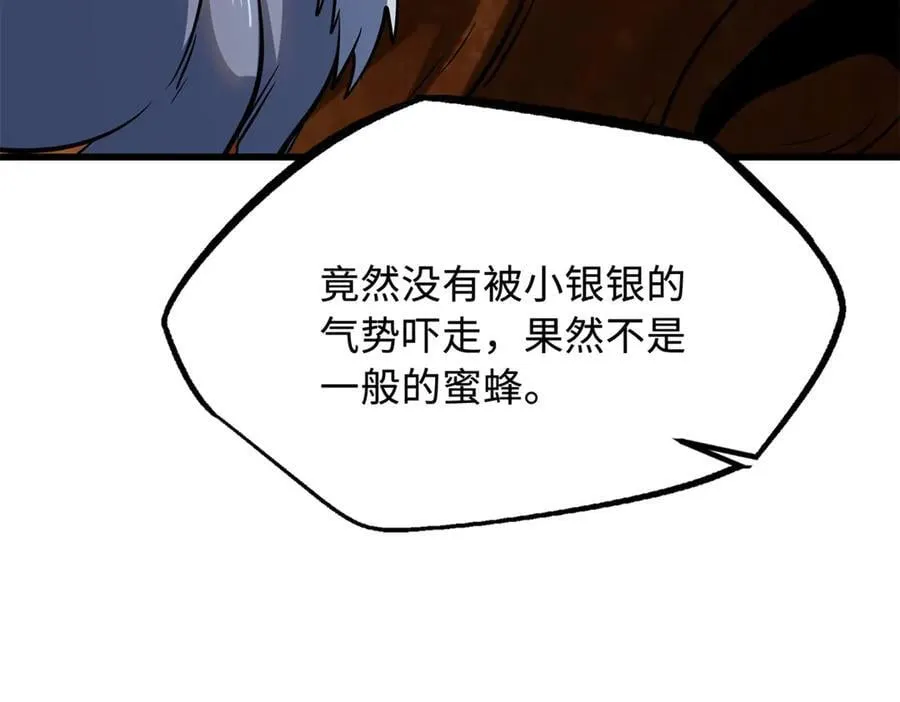 293 奇花83