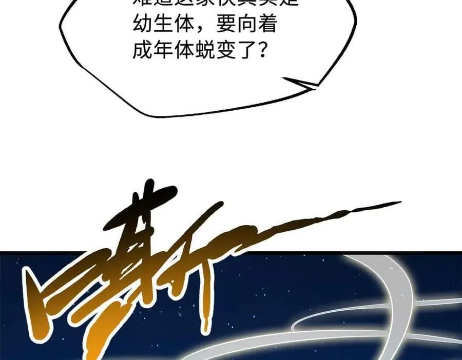 296 银翅仙蝶6