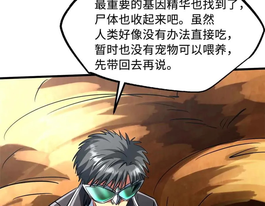 296 银翅仙蝶74