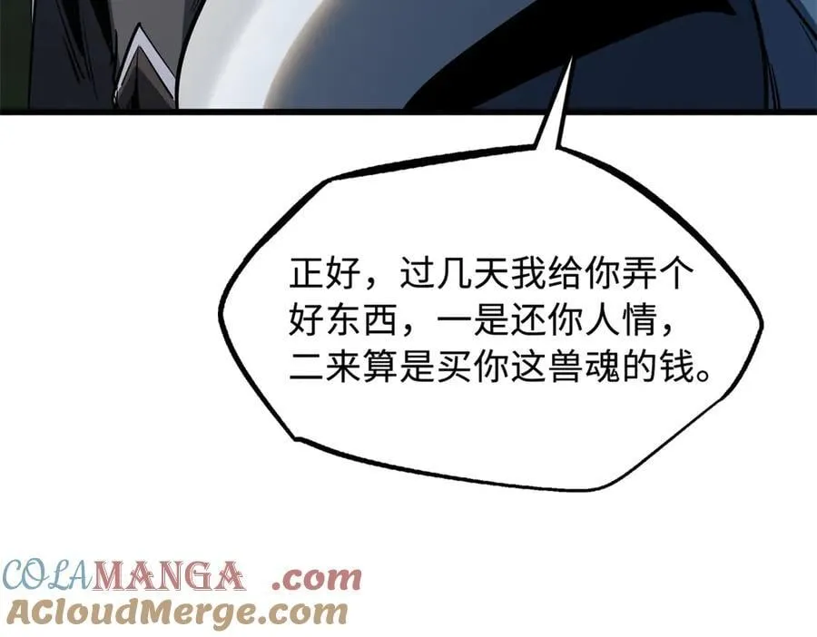 293 奇花20
