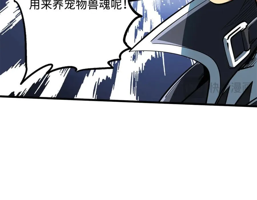 294 鬼眼蜘蛛兽魂181
