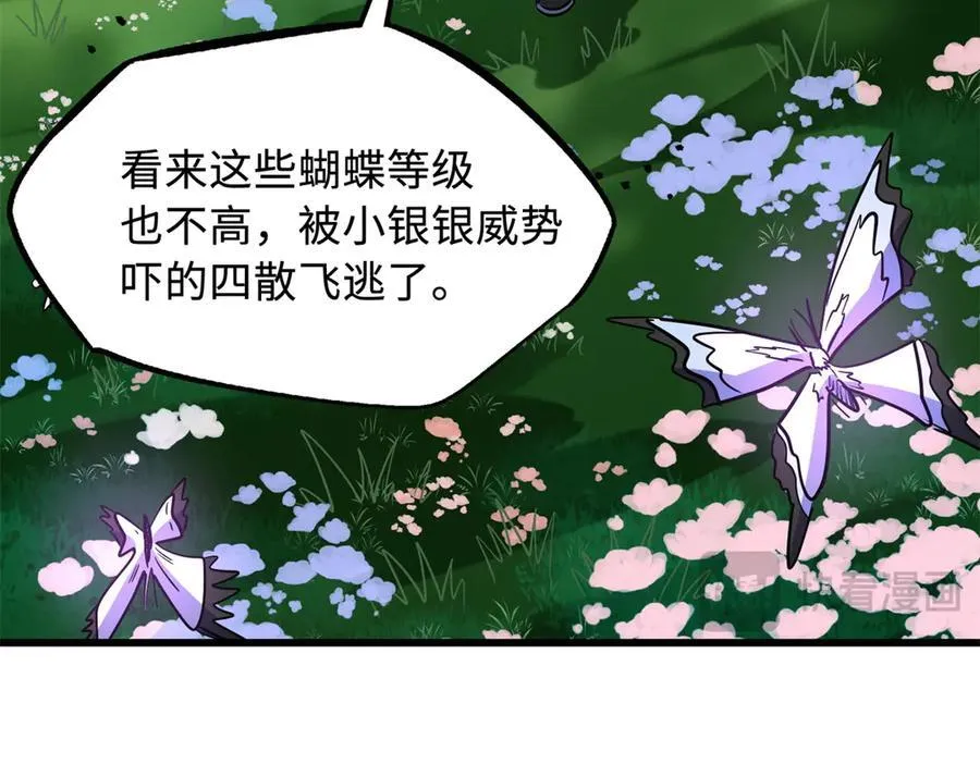 293 奇花35
