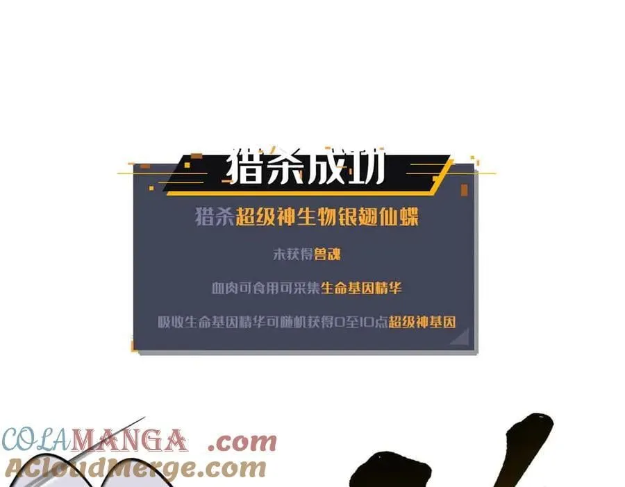 296 银翅仙蝶68