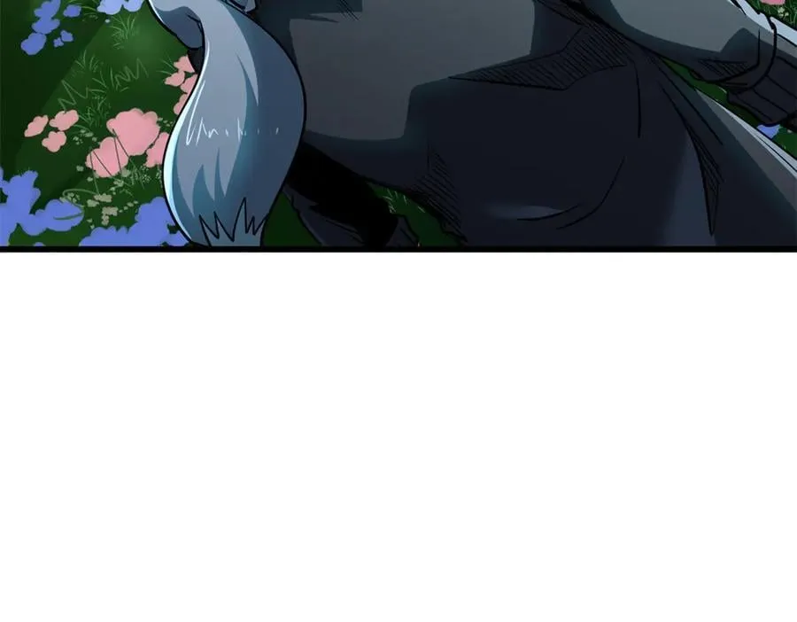 293 奇花53