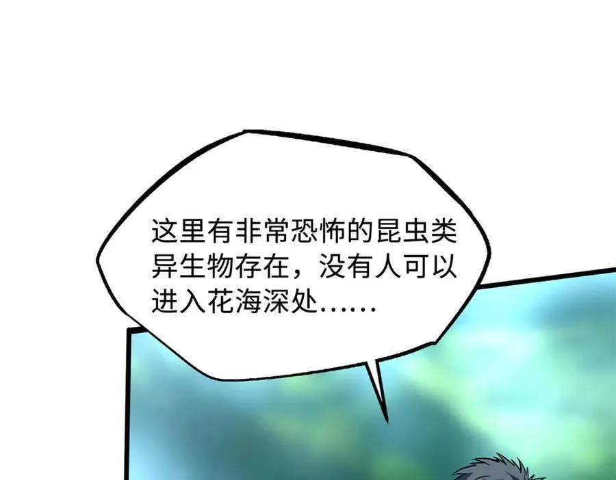293 奇花26