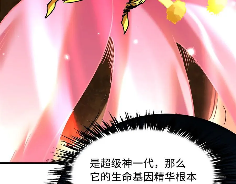 293 奇花123