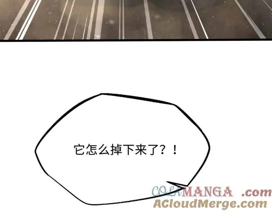 288 重生的白犀牛92