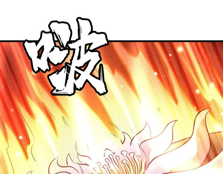 293 奇花99