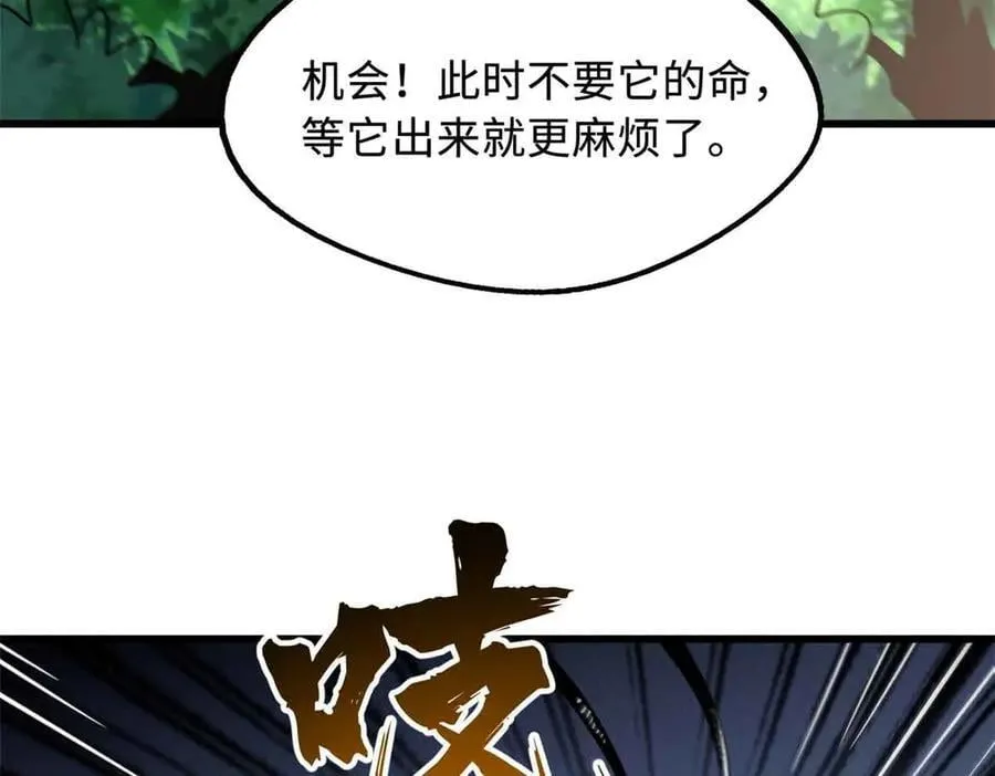 296 银翅仙蝶29
