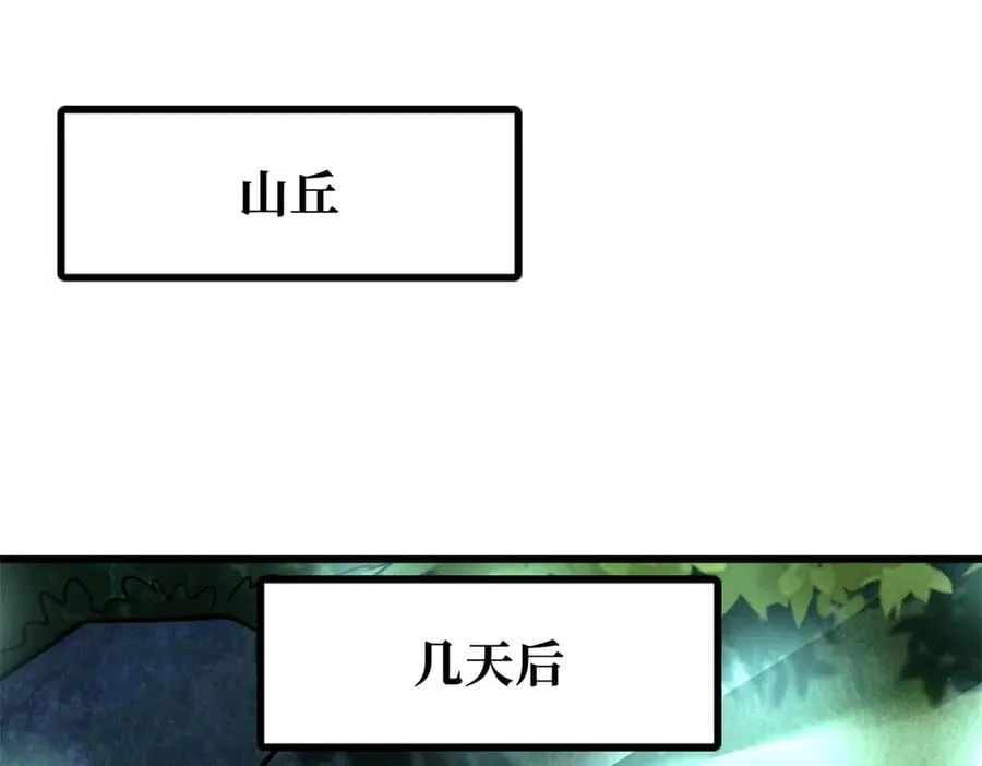 293 奇花21