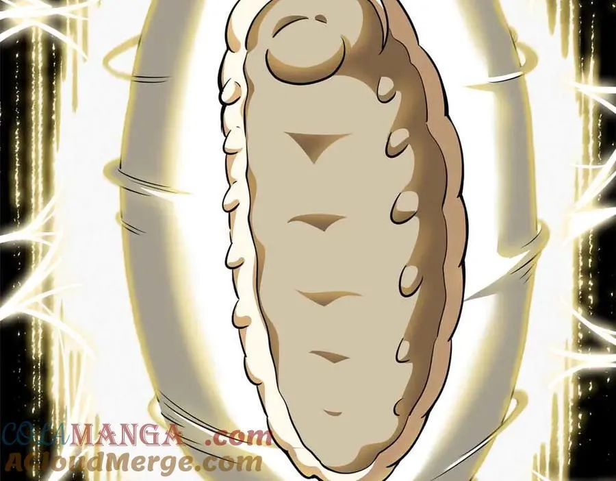 296 银翅仙蝶12