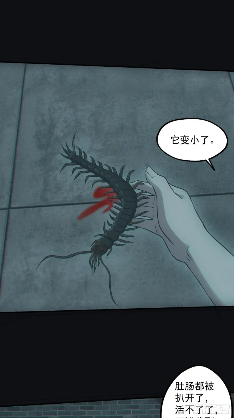 梁家村5