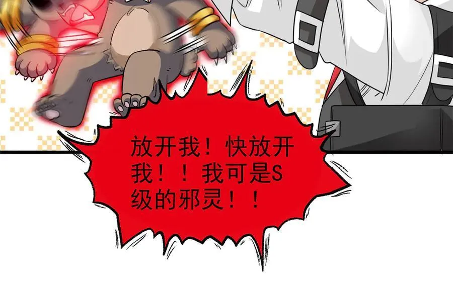 293 小熊可爱，可惜没肉18