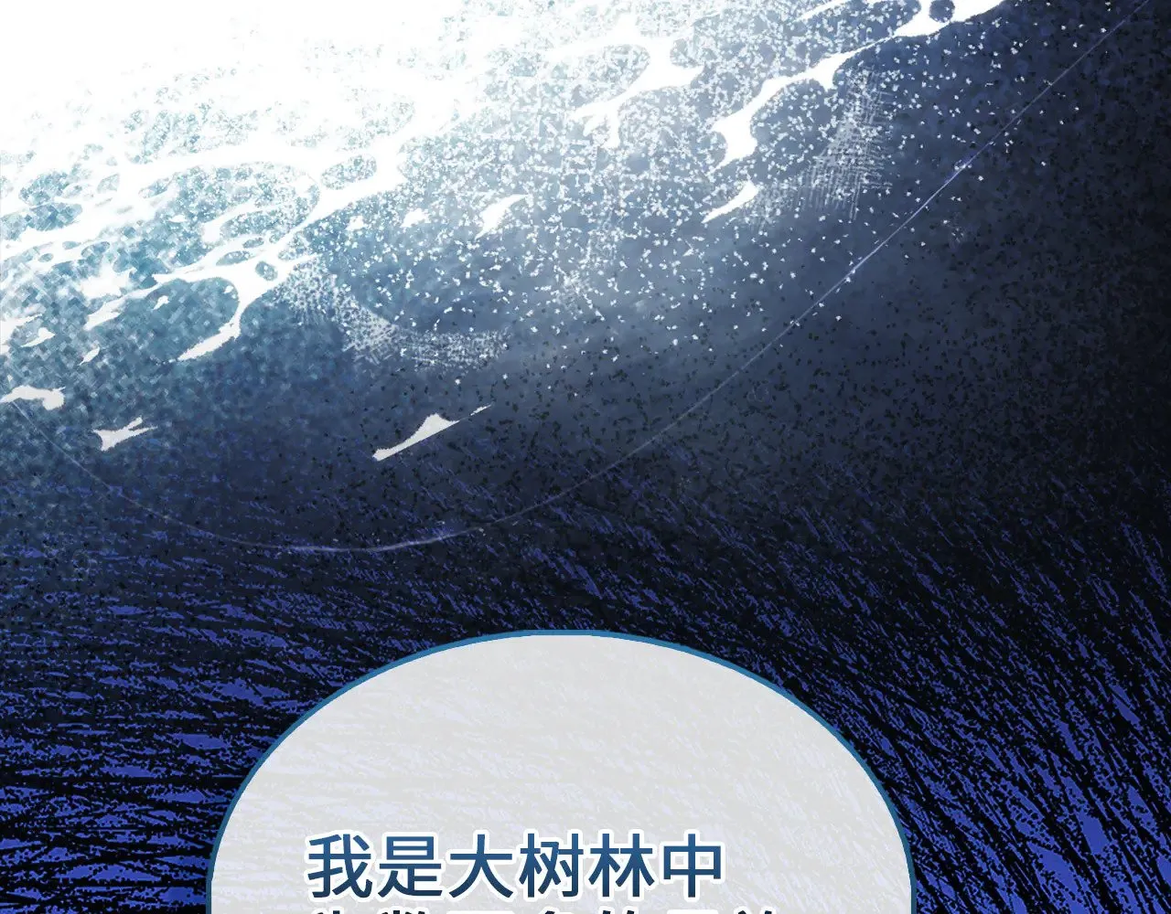 第123话 月之精灵师212