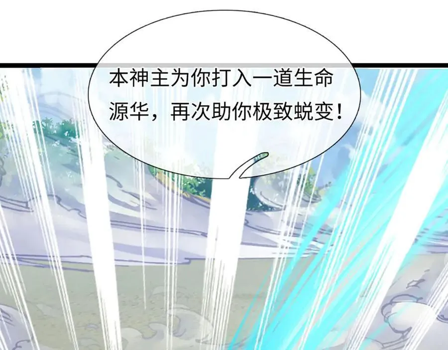 第337话 生命源华，极致蜕变98