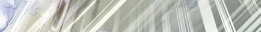 第338话 担下这因果29