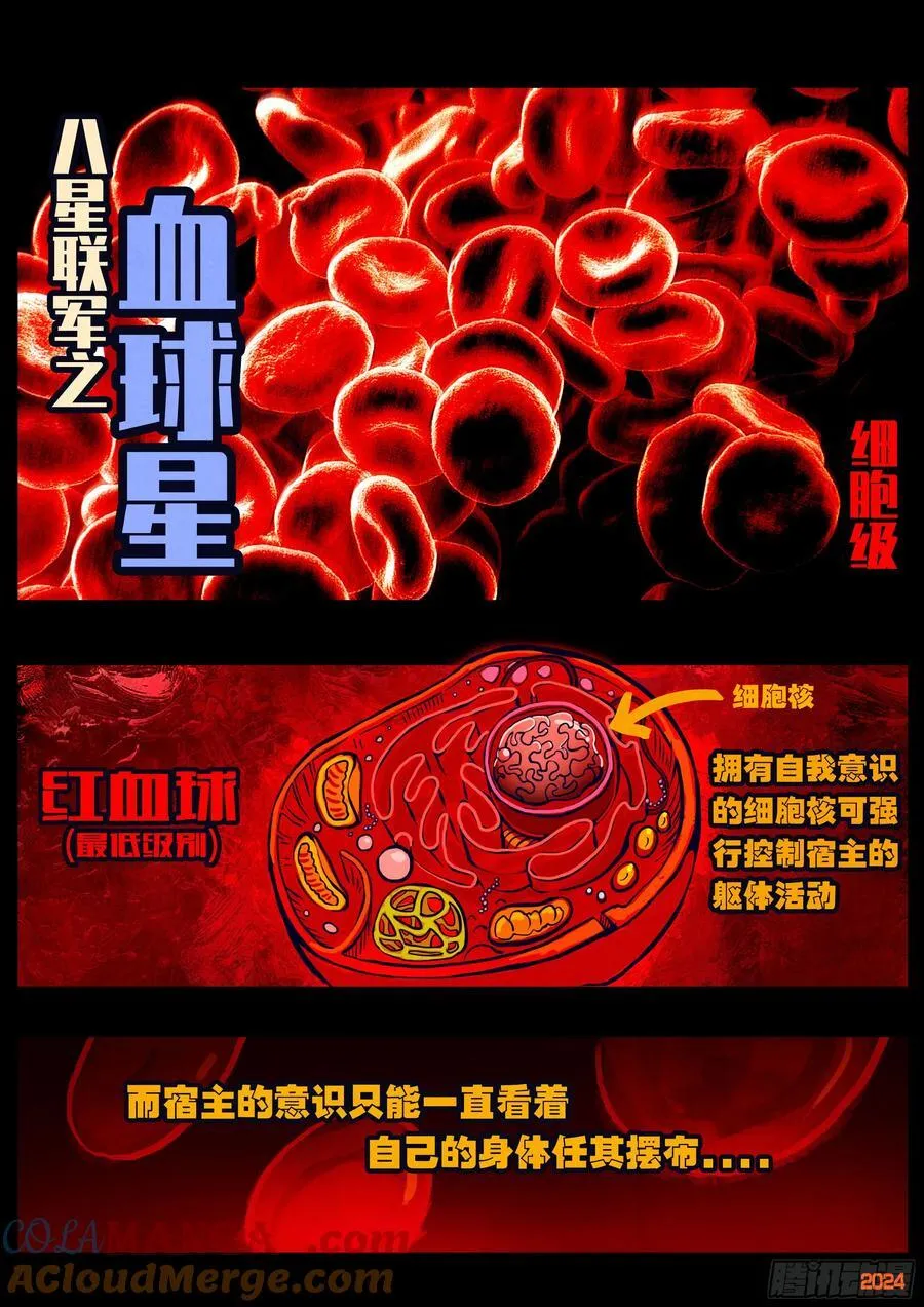 第354集2