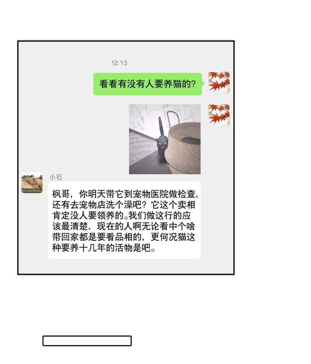 第97章 “故猫”11