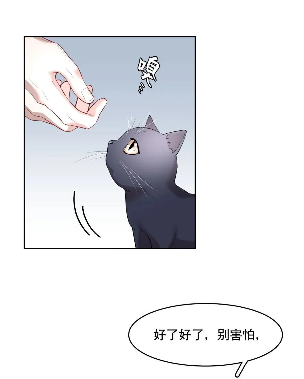 第97章 “故猫”4