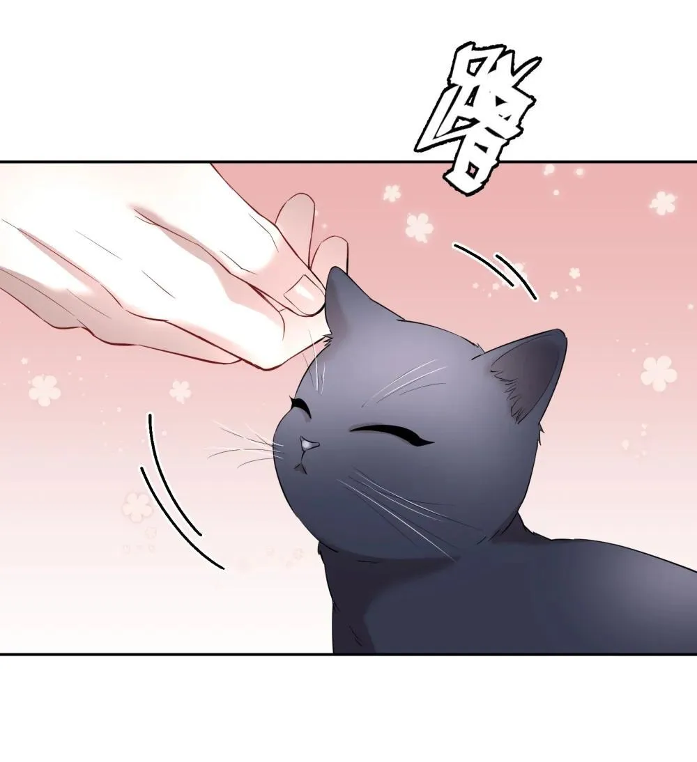第97章 “故猫”6