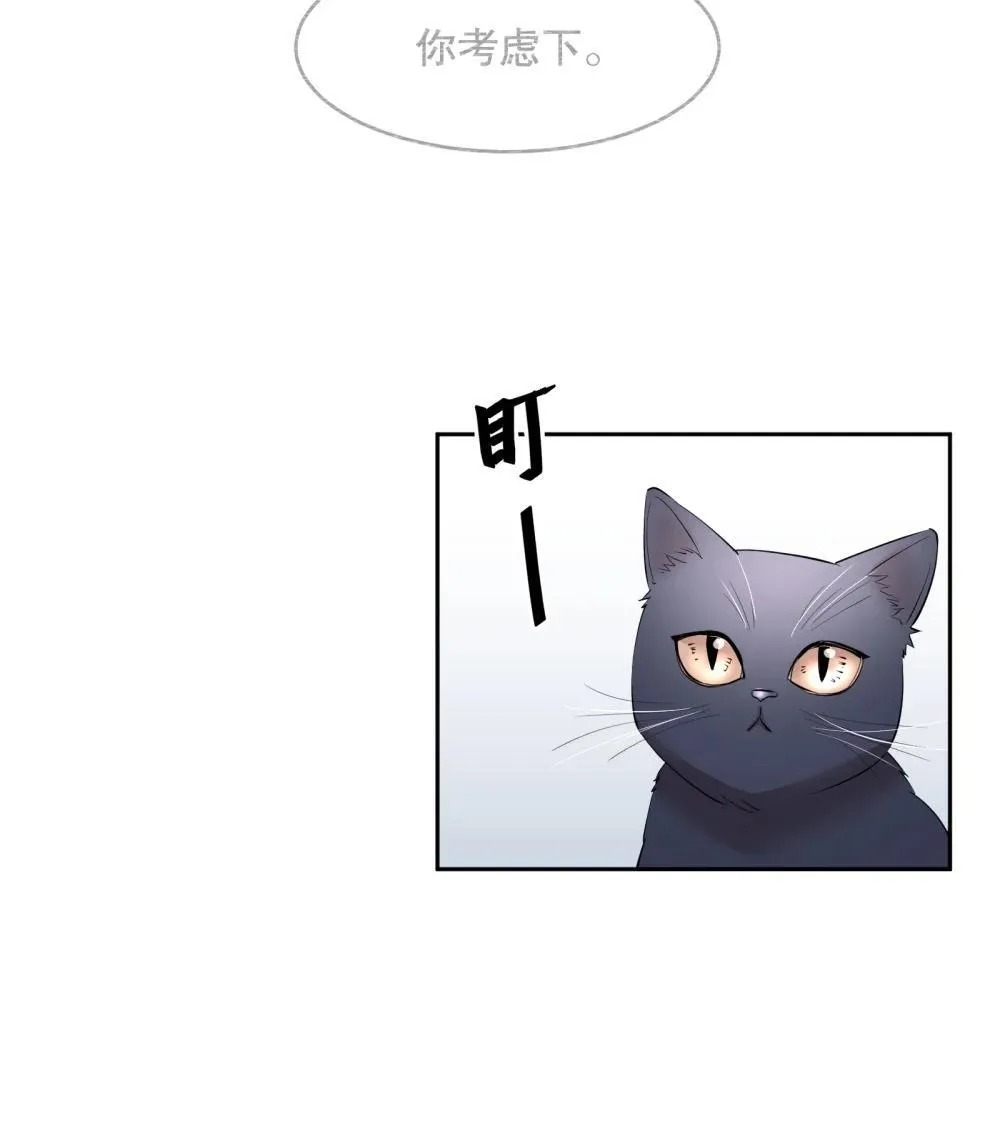 第97章 “故猫”3
