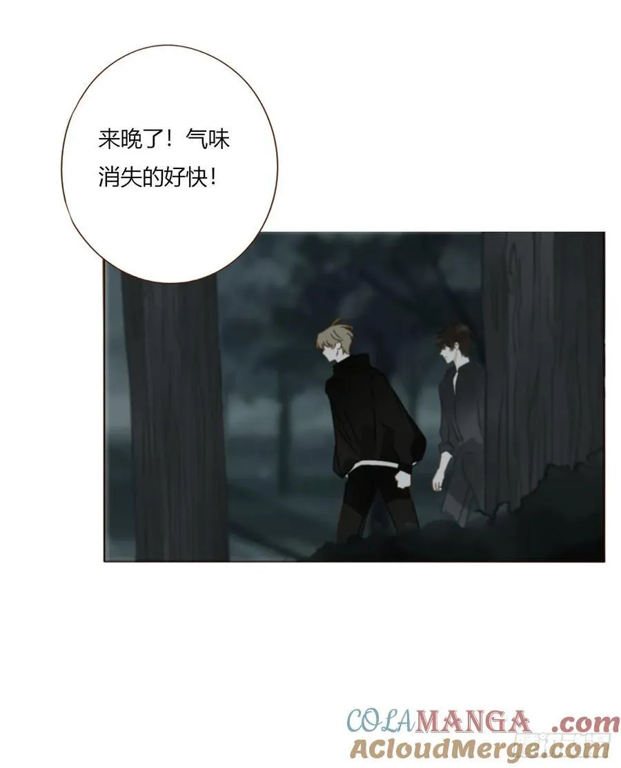 一五五章 车祸26