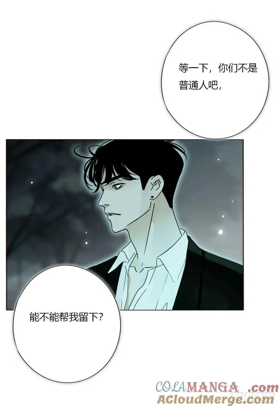 一五五章 车祸36