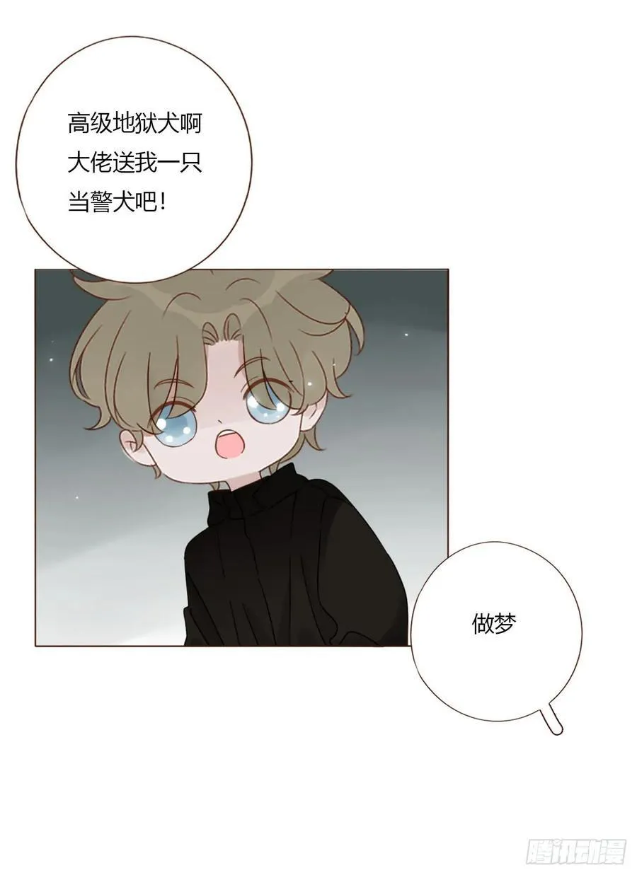 一五五章 车祸29
