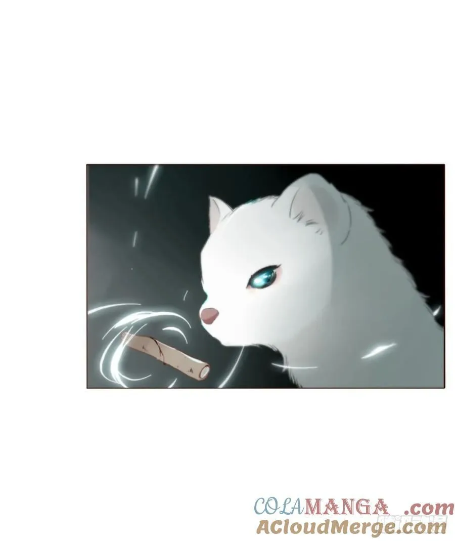 一五五章 车祸22