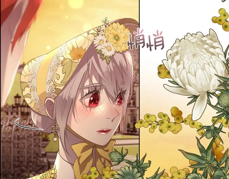 第103话 帝国第一美男134