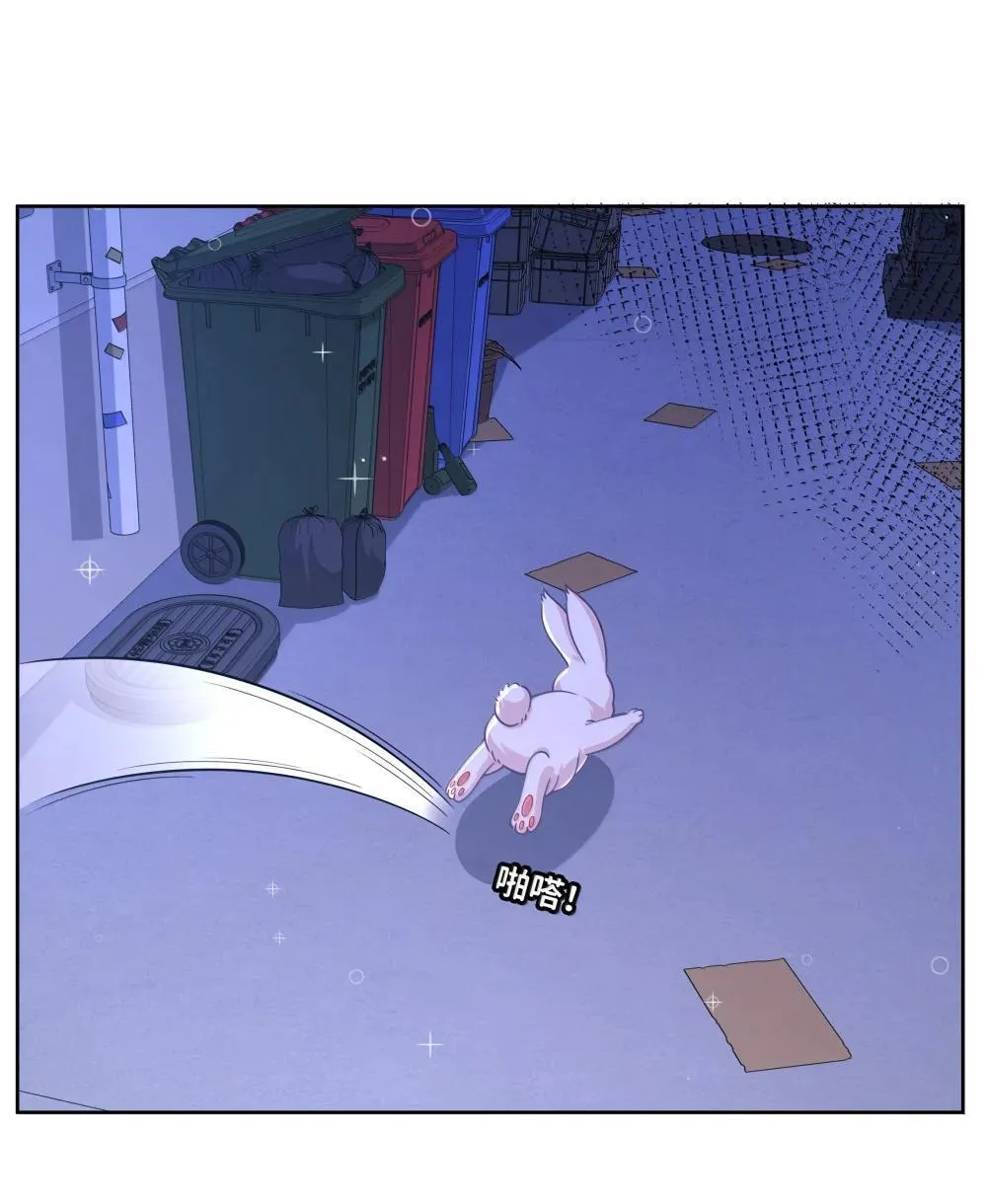 216 圆月，兔子，妈妈7
