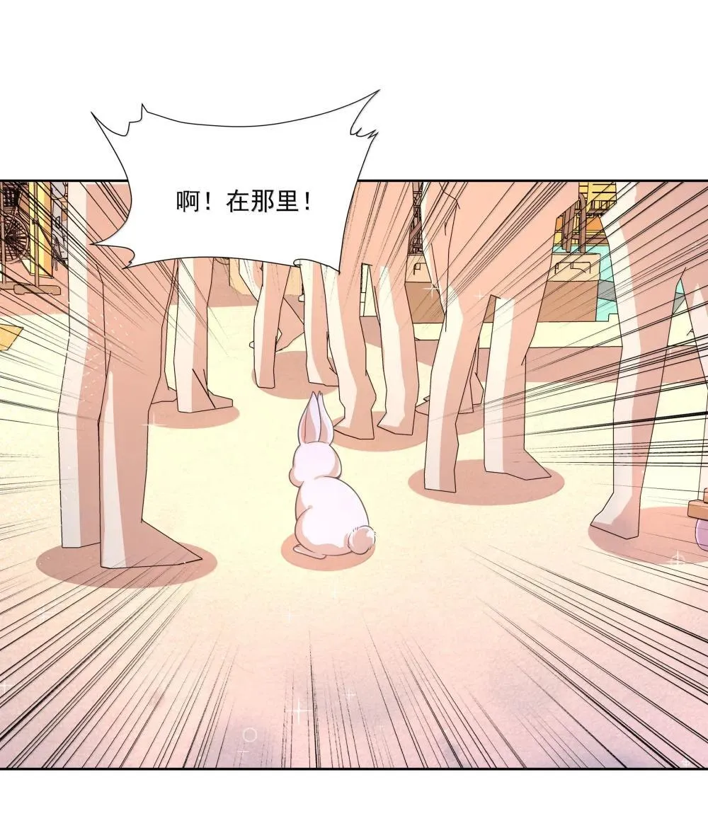 216 圆月，兔子，妈妈17